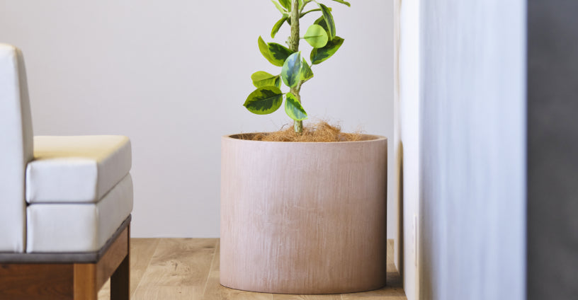 観葉植物 鉢カバーのススメ　おしゃれ＆北欧風スタイルで演出するインテリア