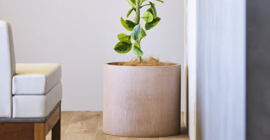 観葉植物 鉢カバーのススメ　おしゃれ＆北欧風スタイルで演出するインテリア